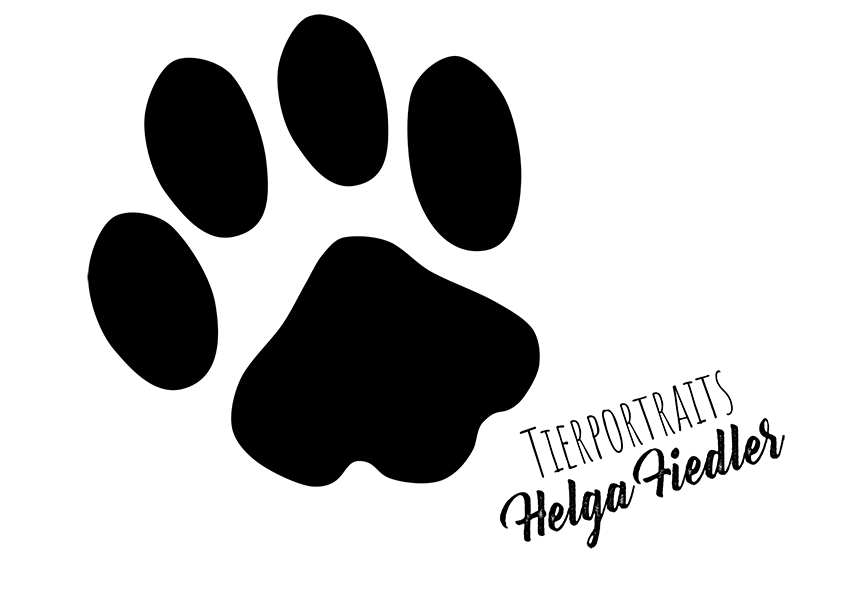 Pfote Logo Helga Fiedler 2023