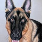 Bexter | Februar 2026 Bexter | Februar 2026