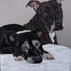 Maxi und Otto | April 2026 Maxi und Otto | April 2026