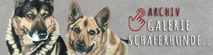 archiv Sch&auml;ferhunde Malinois by JElga Fiedler