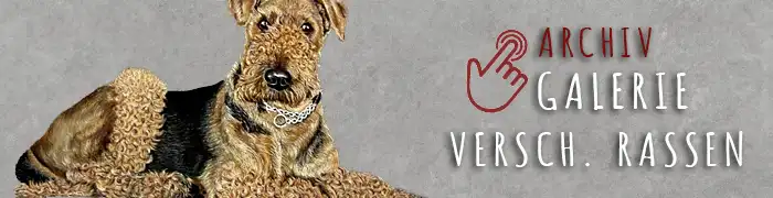 archiv verschiedene rassen by Tiermalerin Hundemalerin Helga Fielder