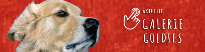 Haupt Galerie Golden Retriever by Helga Fiedler