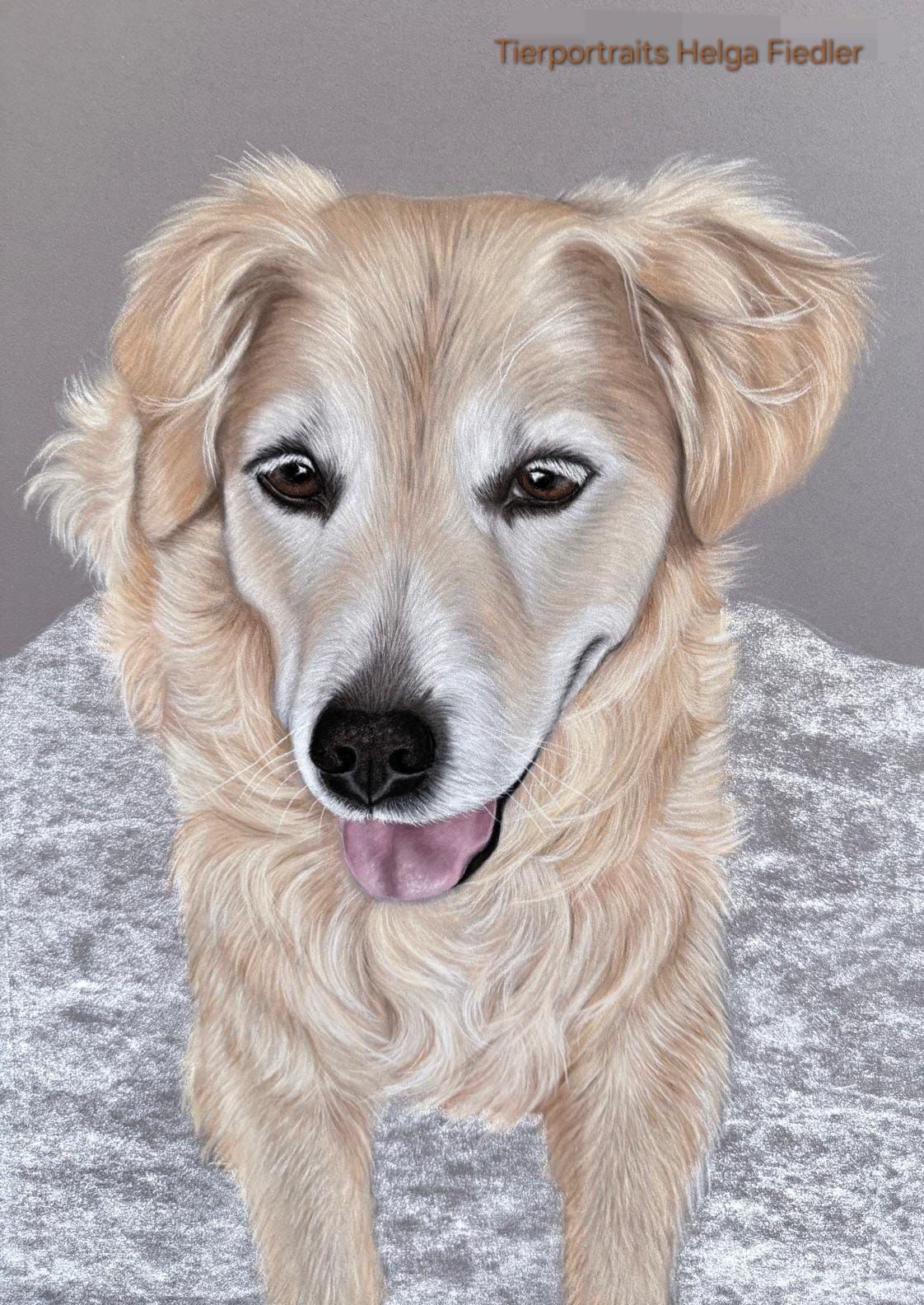 Josy | März 2026 Josy | März 2026