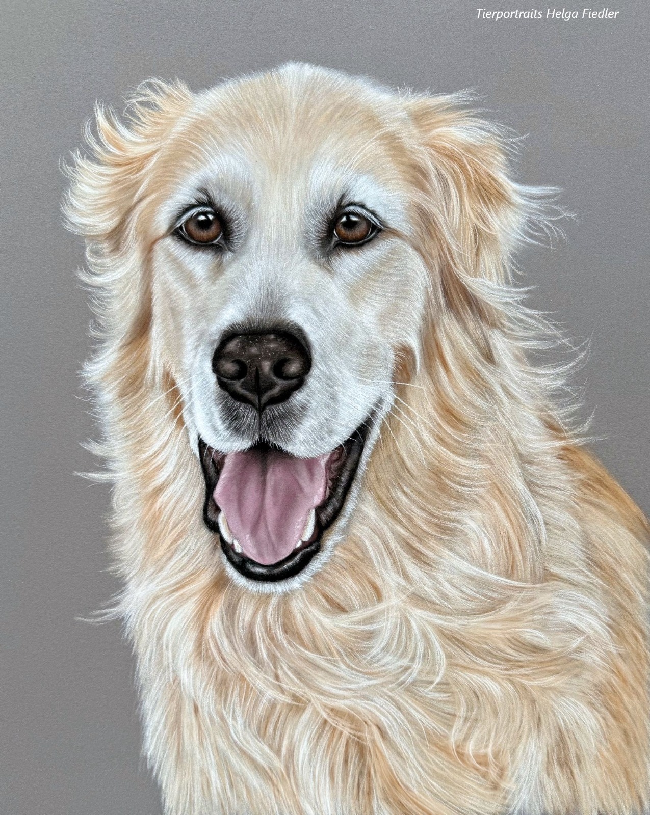 Bexter | Februar 2026 Marley | Februar 2026