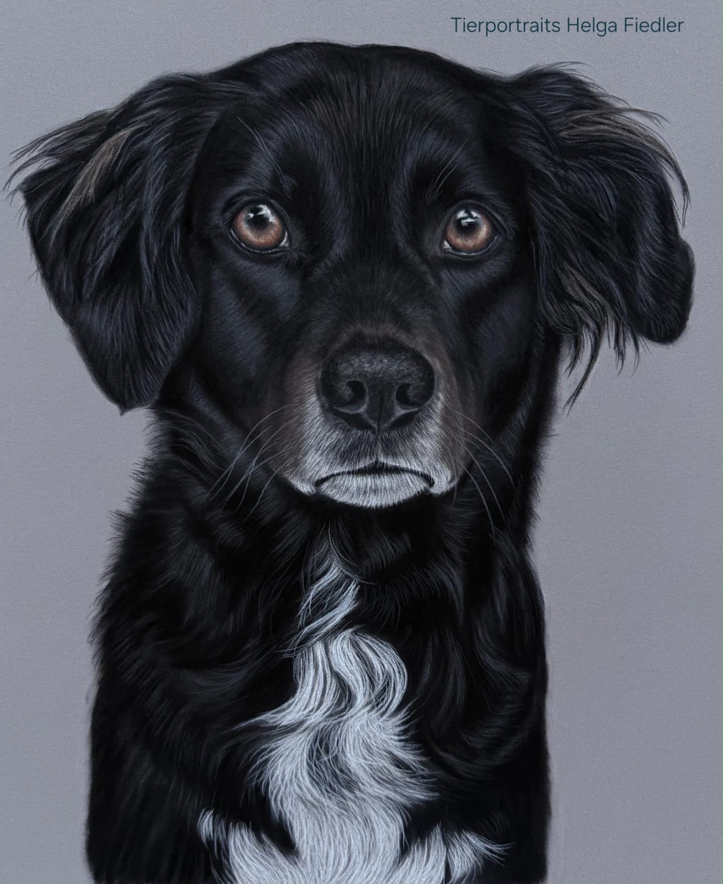 Baxter - Pastell 07/ 2026 Baxter - Pastell 07/ 2026