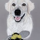 Bo| Januar 2026 Bo| Januar 2026