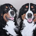 Finou & Molly | April 2026