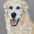 Marley | Februar 2026 