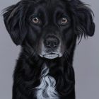 Baxter - Pastell 07/ 2026 Baxter - Pastell 07/ 2026