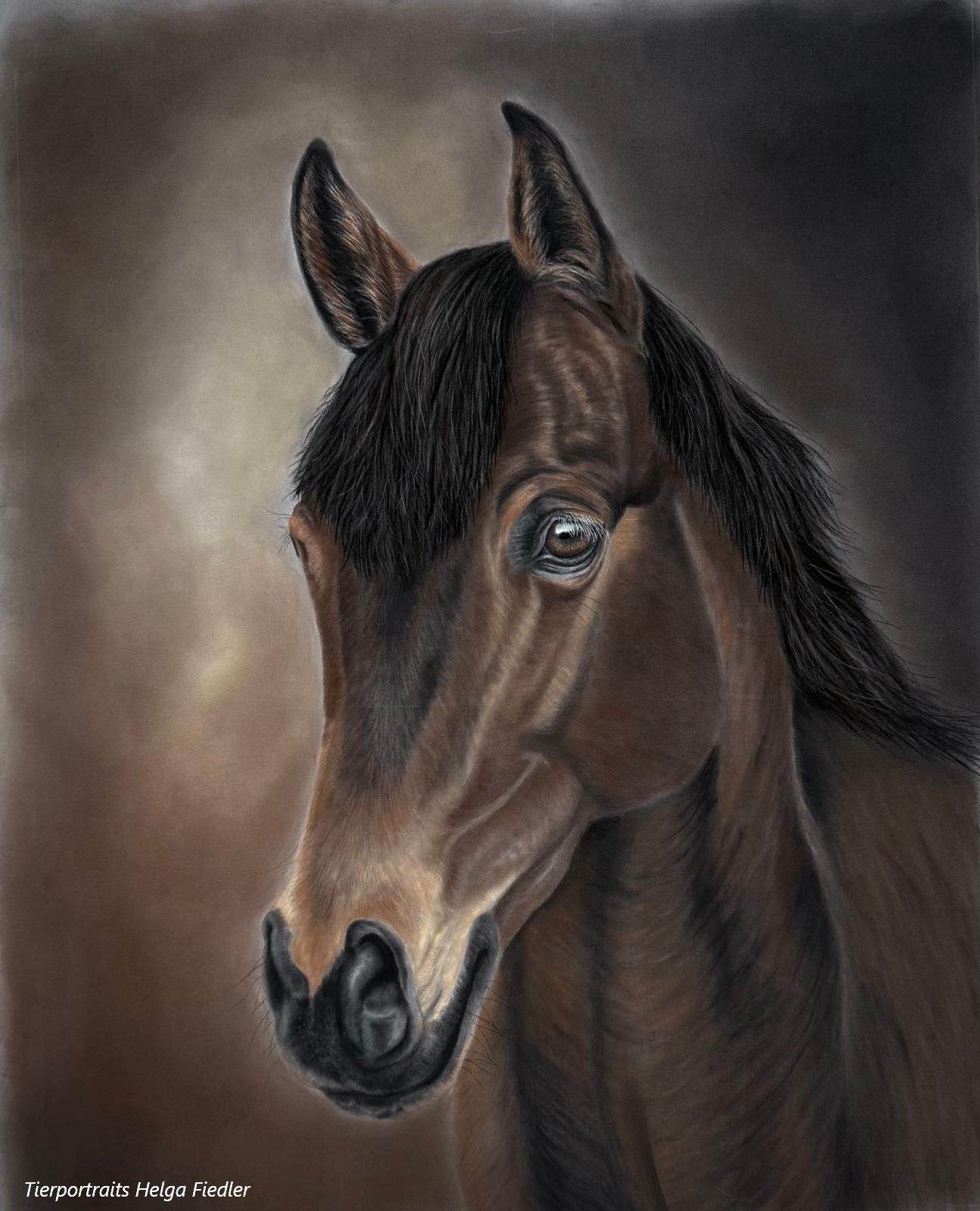 Firefly | November 2025