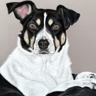 Hanna | Oktober 2025 Hanna | Oktober 2025