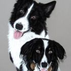 Buddy und Luca - zur Galerie Mix