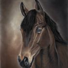 Firefly | November 2025