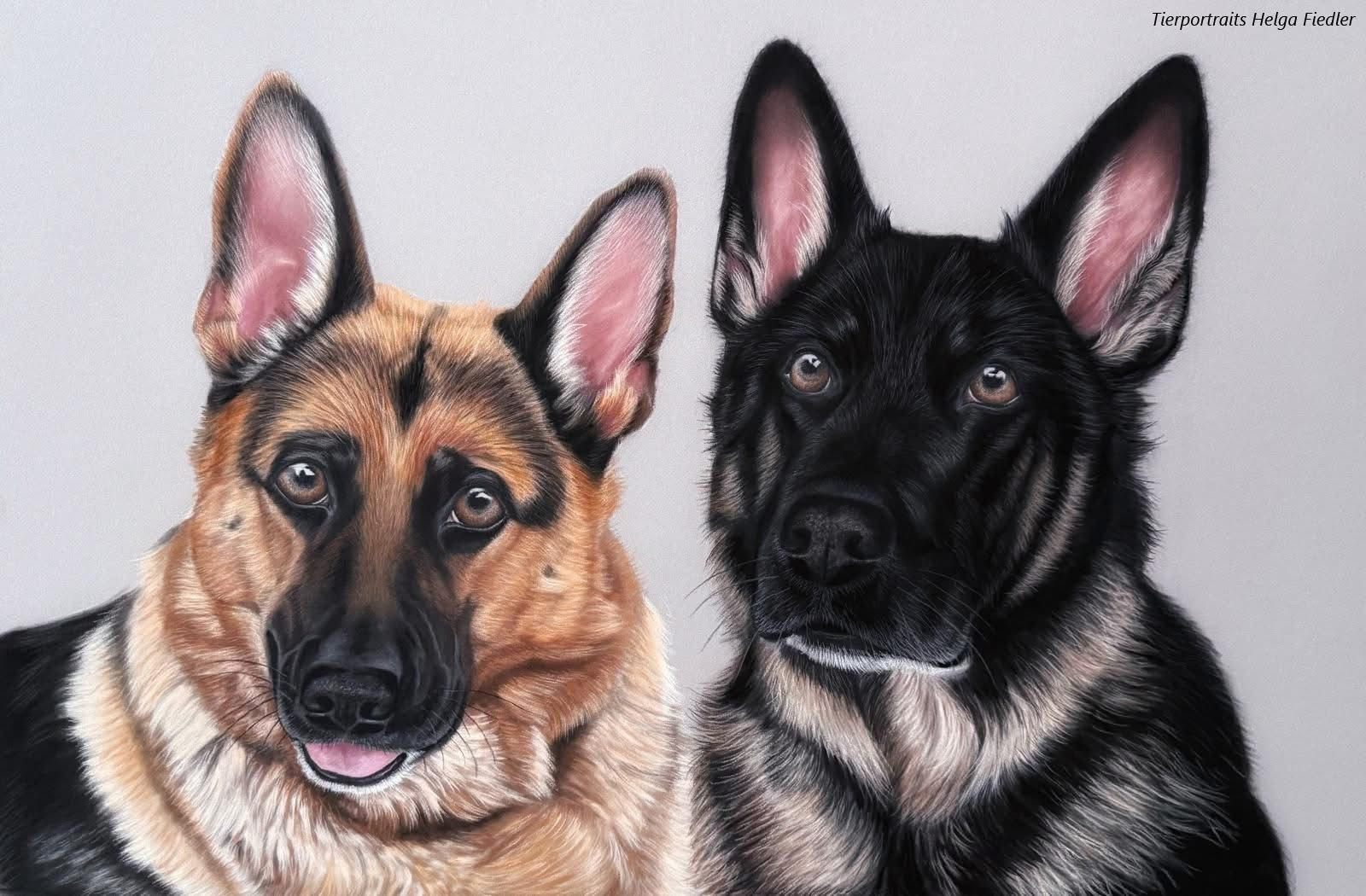 Thaja und Raika| Dezmber 2025