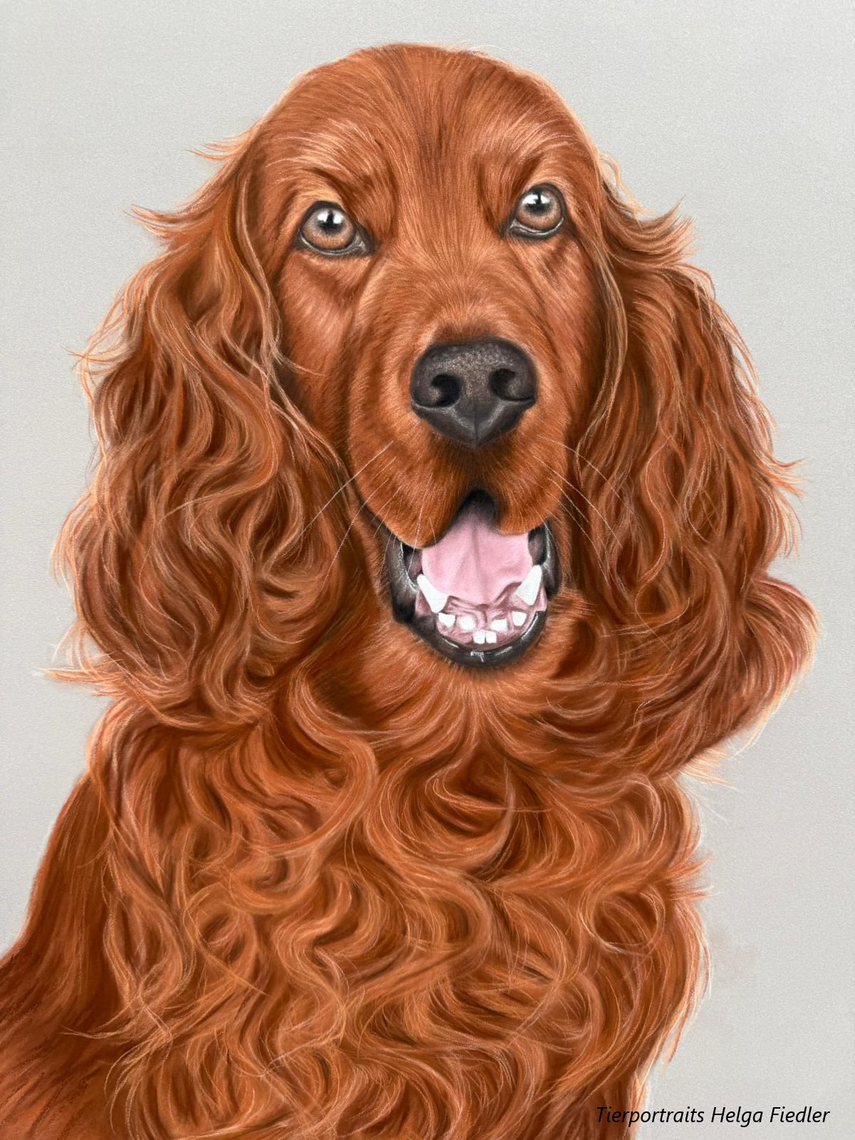 Cicco| September 2025 Cicco| September 2025