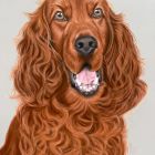 Cicco| September 2025 Cicco| September 2025